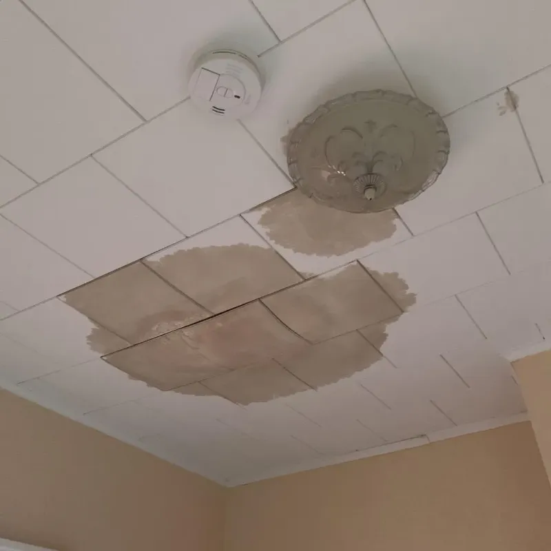 Ceiling Water Damage Repair in Kaukauna, WI