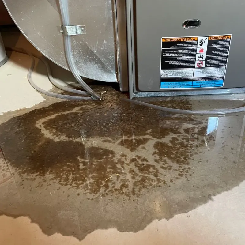 Pipe Burst and Leak Restoration in Kaukauna, WI